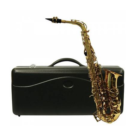 Shelter Saxofone Alto Vintage TJS6430LRU com Estojo